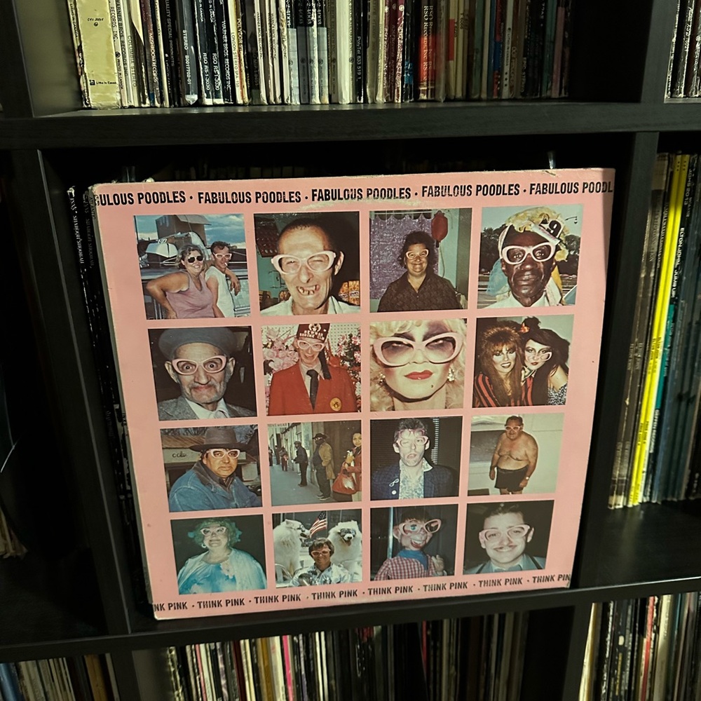 ⏺️ 3/$25 Fabulous Poodles Think Pink Vinyl Record